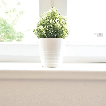 Apartman Huge In Awesome Location With Parking