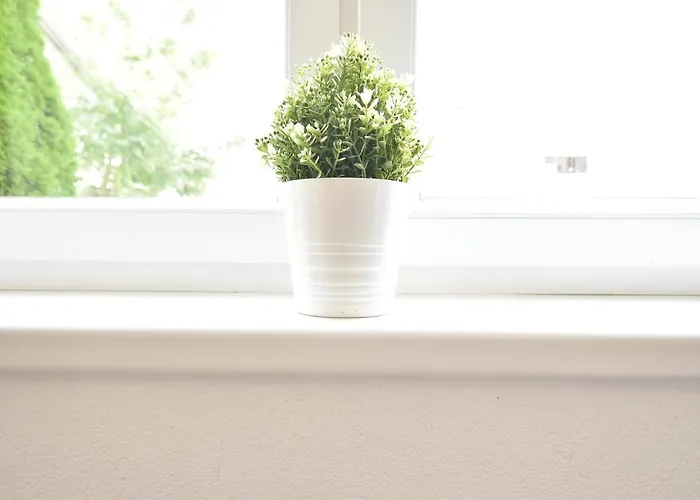 公寓 Huge In Awesome Location With Parking