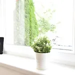 Huge In Awesome Location With Parking Apartmán *